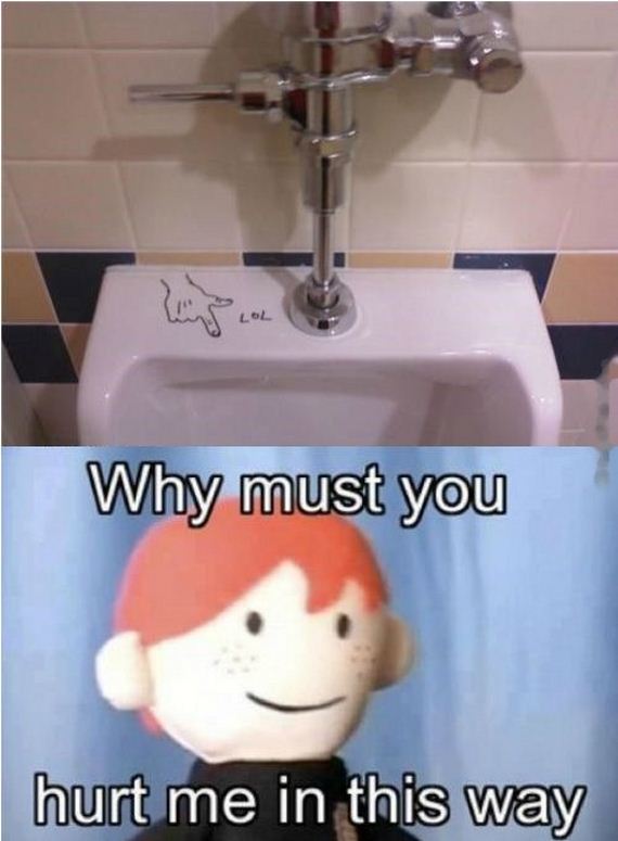 funny-pictures-794
