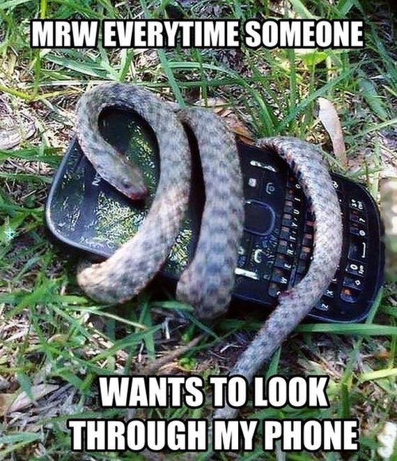 funny-pictures-794