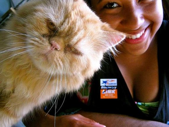 funny-pictures-794