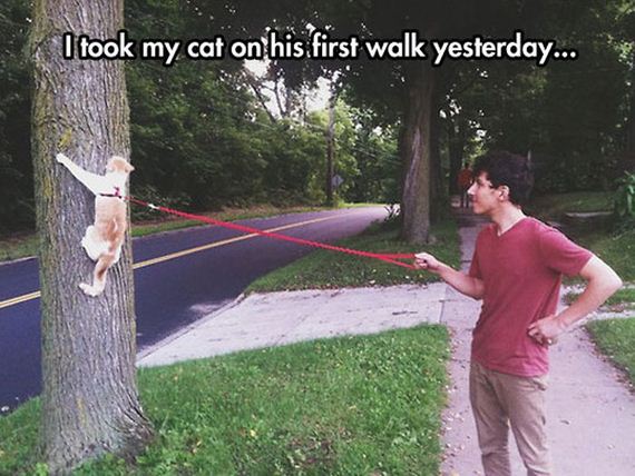 funny-pictures-794
