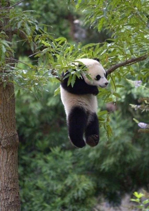 funny-pictures-794