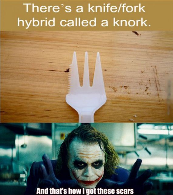 funny-pictures-794