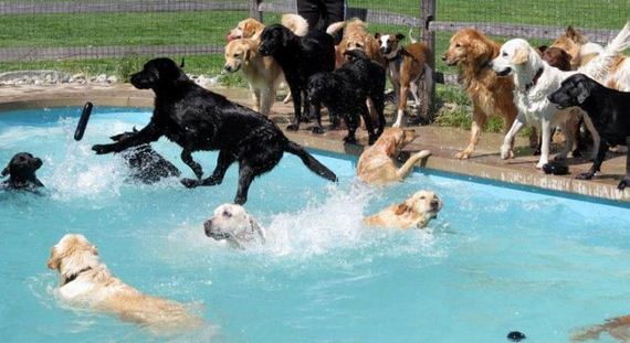 funny-pictures-795