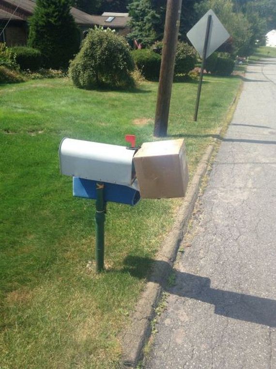 funny-pictures-795