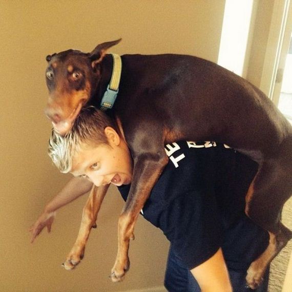 funny-pictures-795