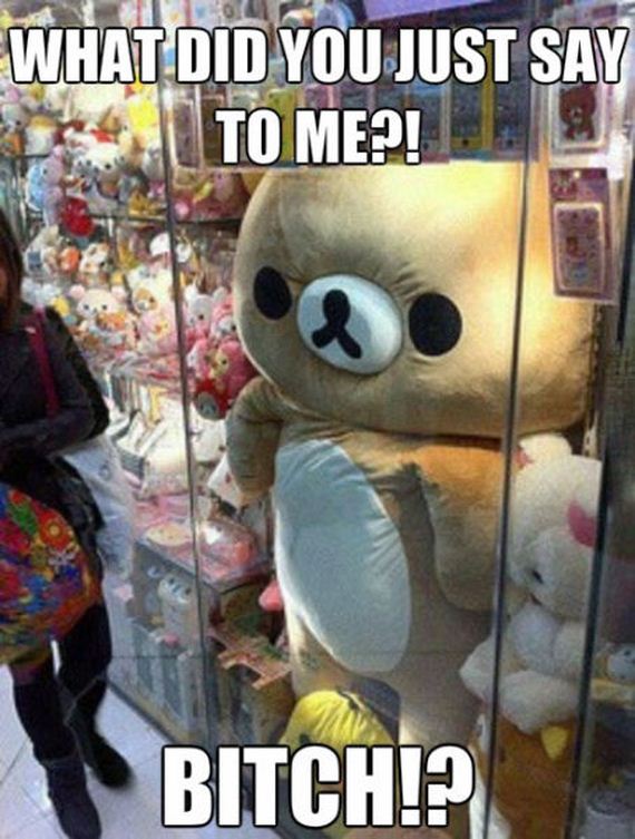 funny-pictures-795
