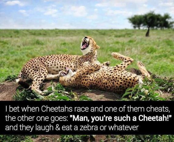 funny-pictures-795
