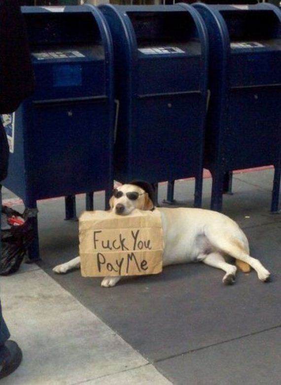 funny-pictures-796