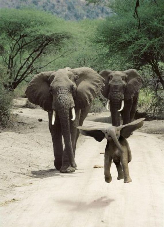 funny-pictures-796