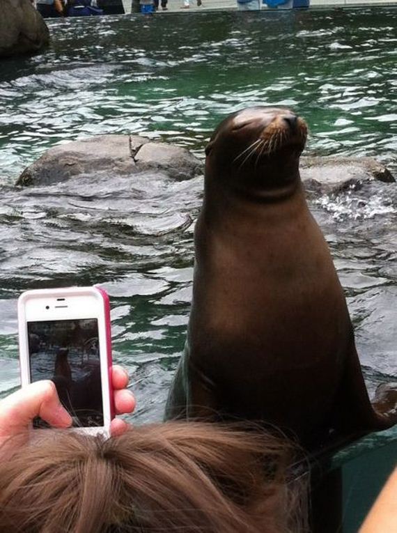 funny-pictures-796
