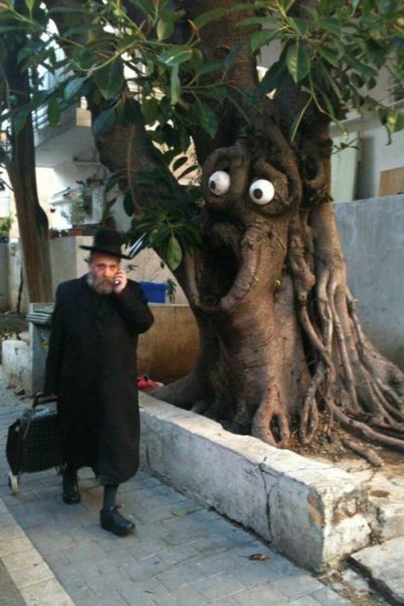 funny-pictures-796
