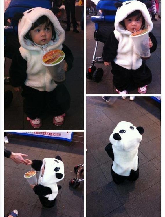 funny-pictures-797