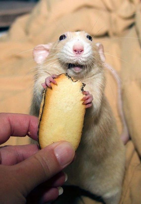 funny-pictures-797