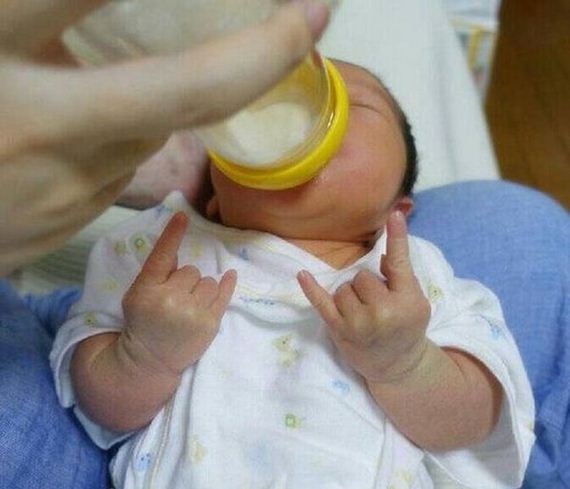 funny-pictures-798