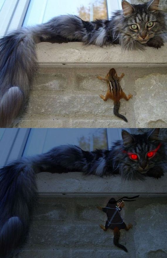 funny-pictures-798