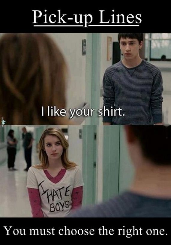 funny-pictures-800