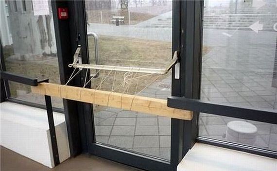 funny-pictures-800