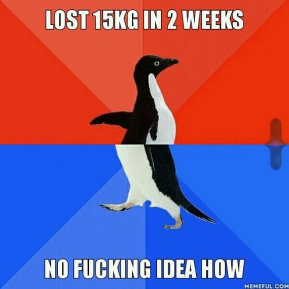 funny-pictures-800