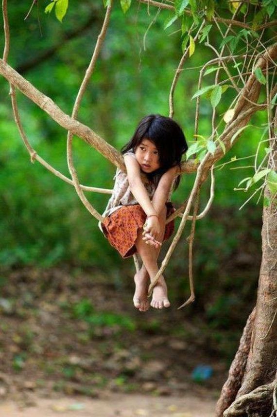 funny-pictures-800