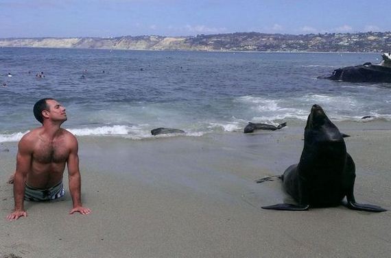 funny-pictures-801