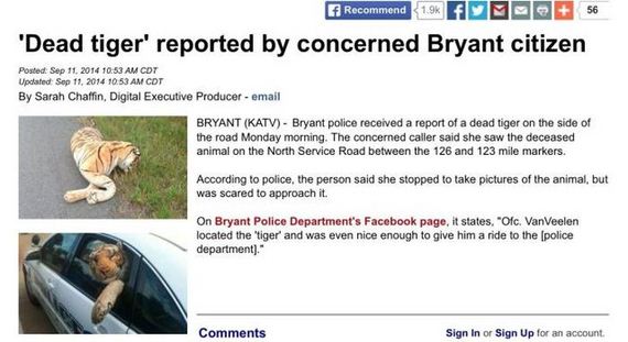funny-pictures-801