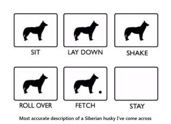 funny-pictures-801