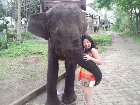 funny-pictures-801