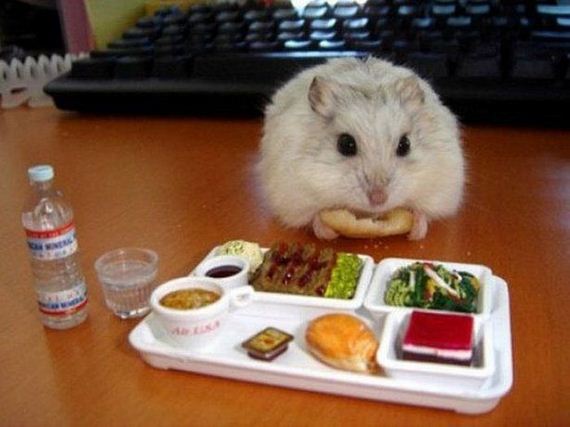 funny-pictures-801
