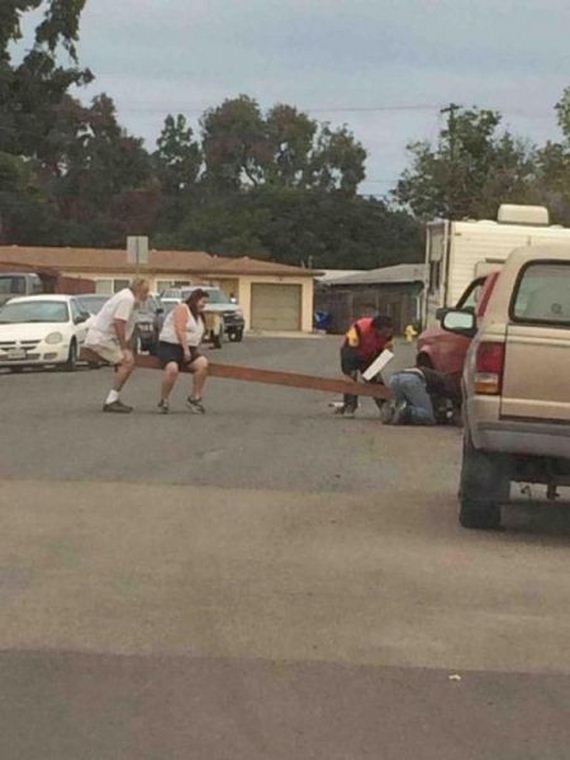 funny-pictures-801