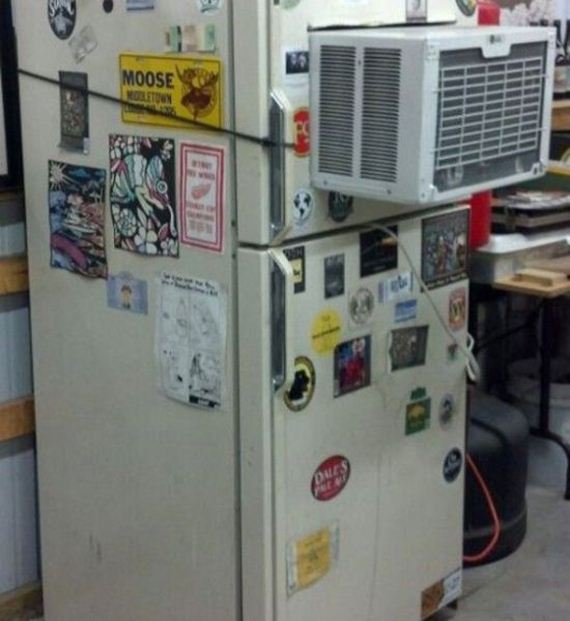 funny-pictures-801