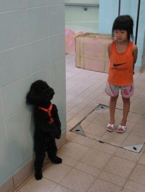 funny-pictures-801