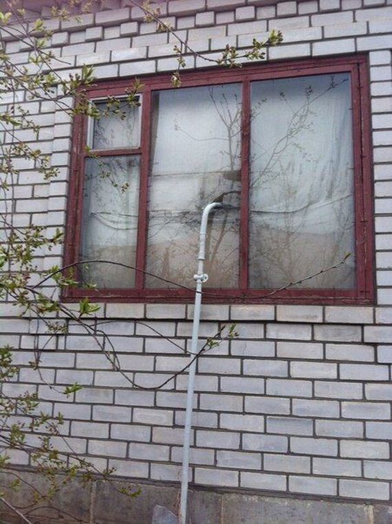funny-pictures-801
