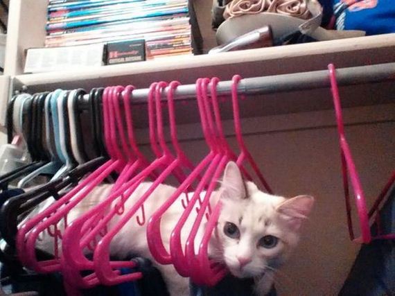 funny-pictures-802