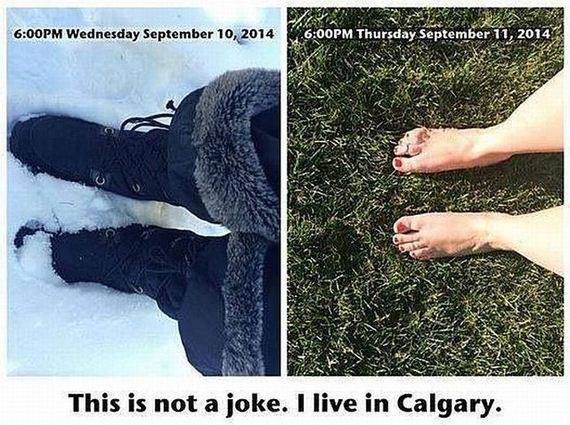 funny-pictures-802
