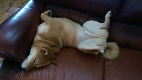 funny-pictures-802