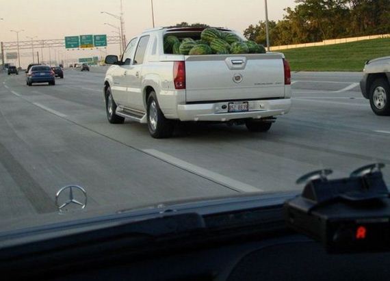 funny-pictures-802