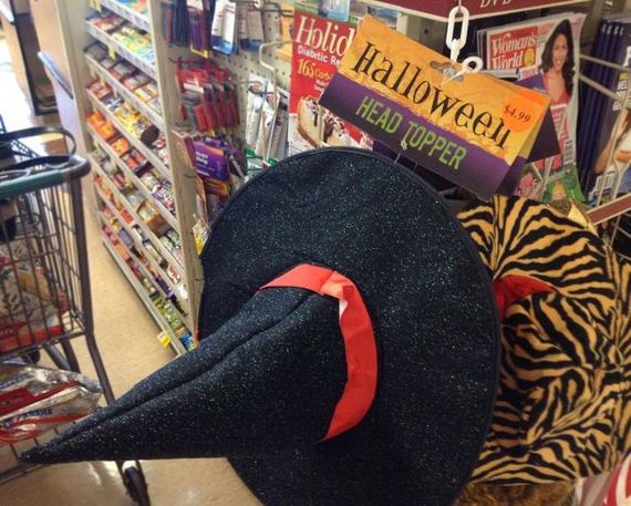 funny-pictures-802