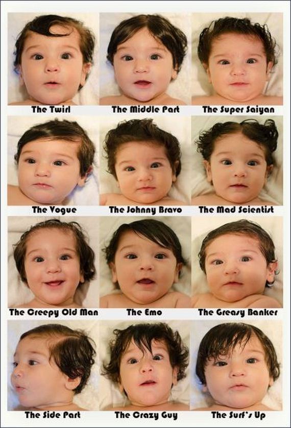 funny-pictures-803