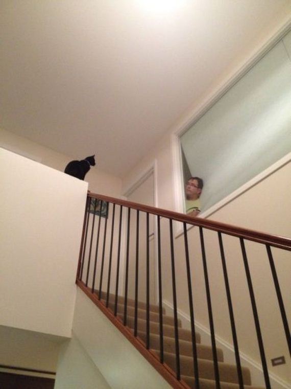 funny-pictures-803