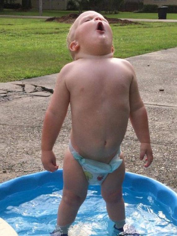 funny-pictures-803