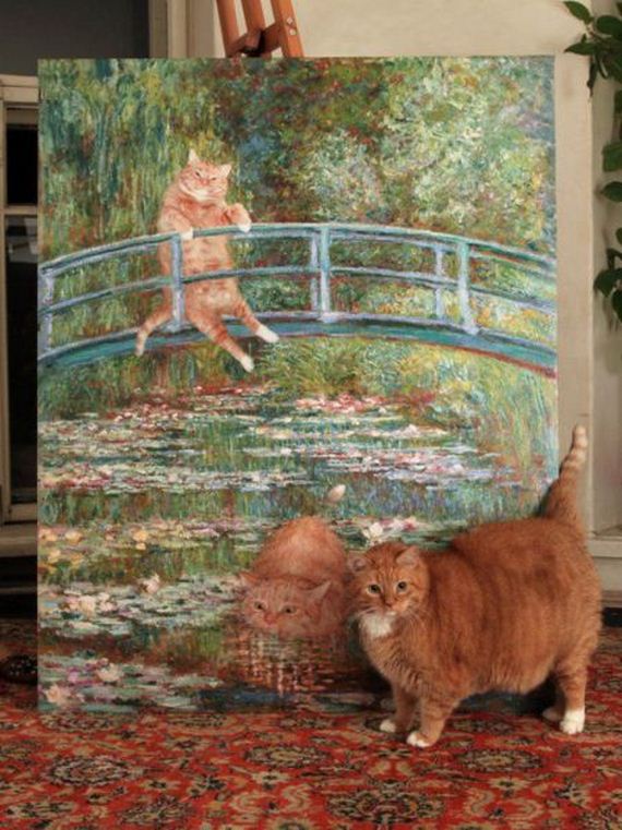 funny-pictures-803