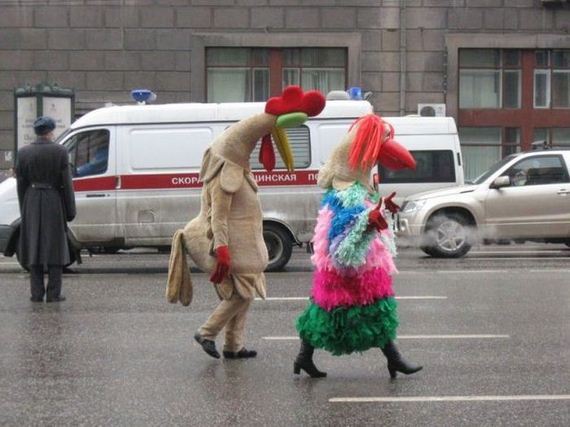 funny-pictures-805