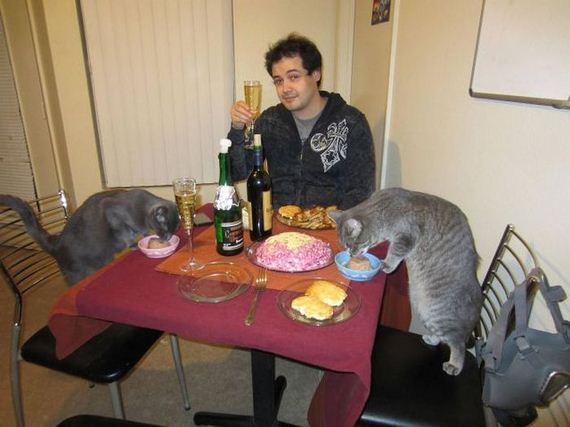 funny-pictures-805