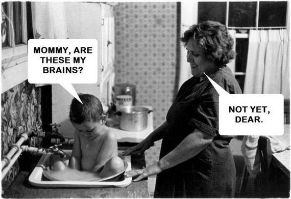 funny-pictures-805