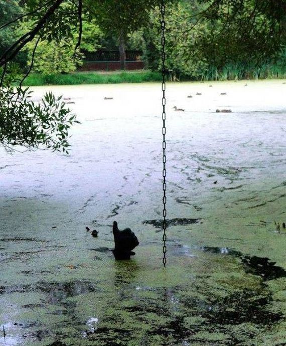 funny-pictures-805