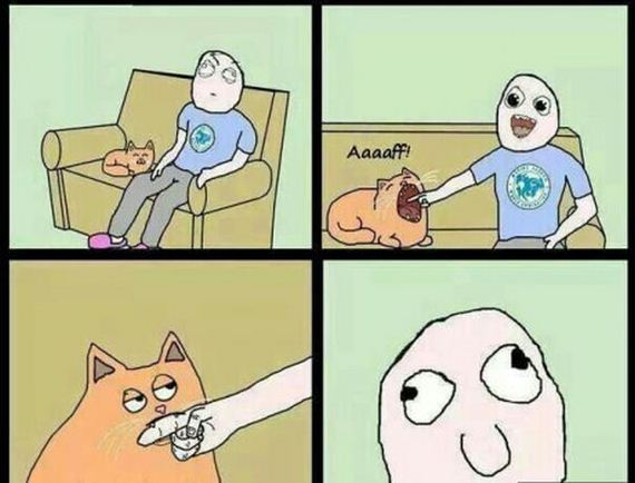 funny-pictures-805