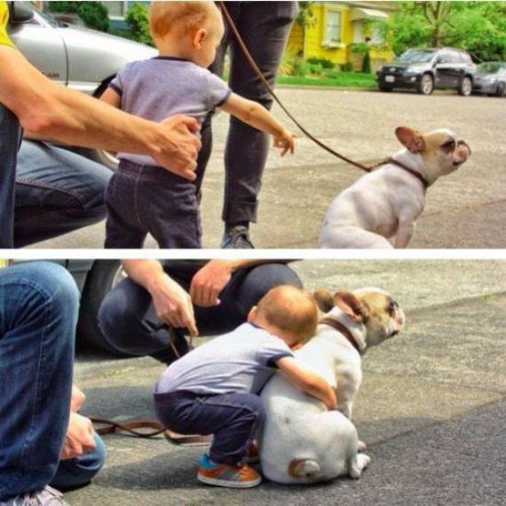 funny-pictures-805