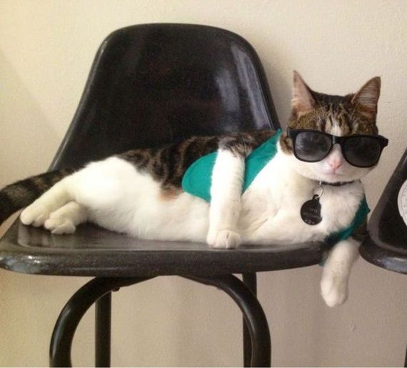 funny-pictures-806