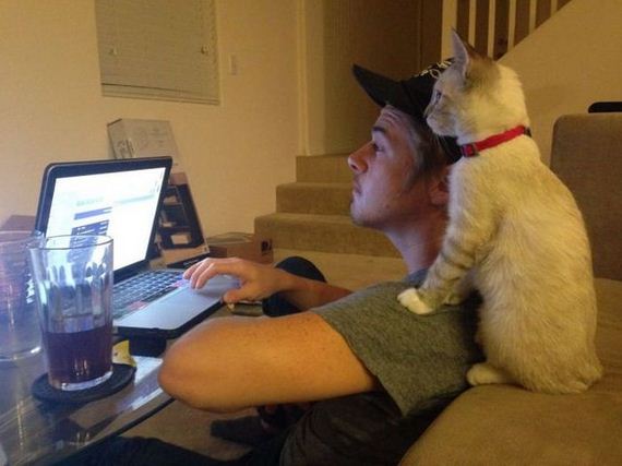 funny-pictures-806