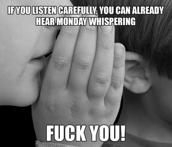 funny-pictures-806